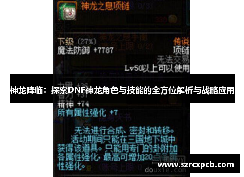神龙降临：探索DNF神龙角色与技能的全方位解析与战略应用