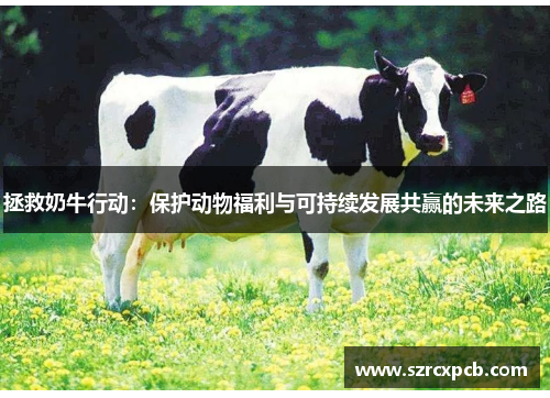 拯救奶牛行动：保护动物福利与可持续发展共赢的未来之路